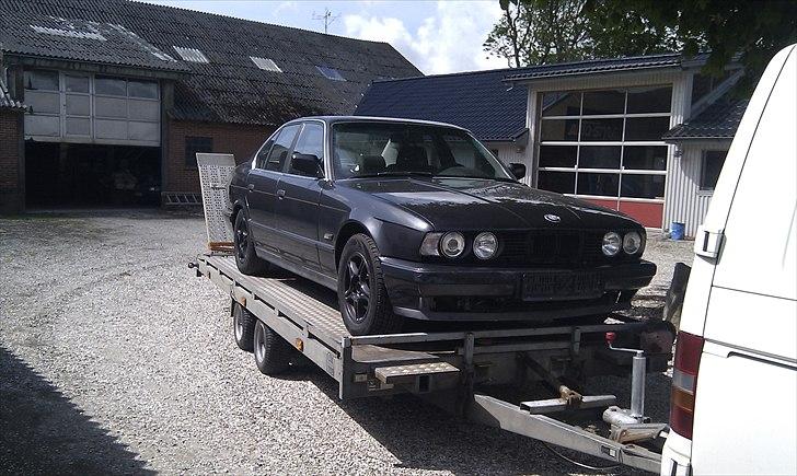 BMW E34 530i billede 2