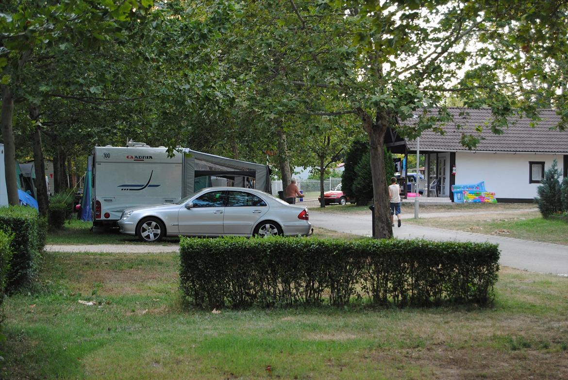 Mercedes Benz 220 cdi solgt  billede 2