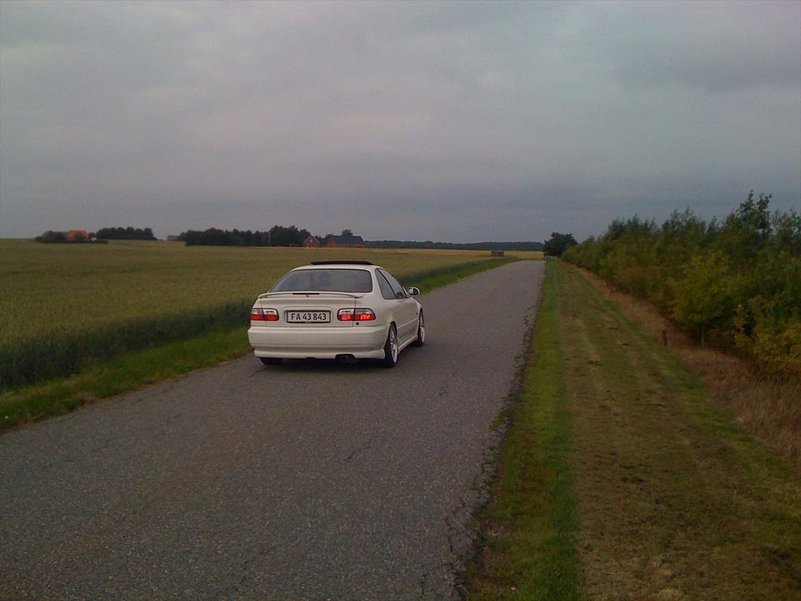 Honda Civic Coupe billede 13