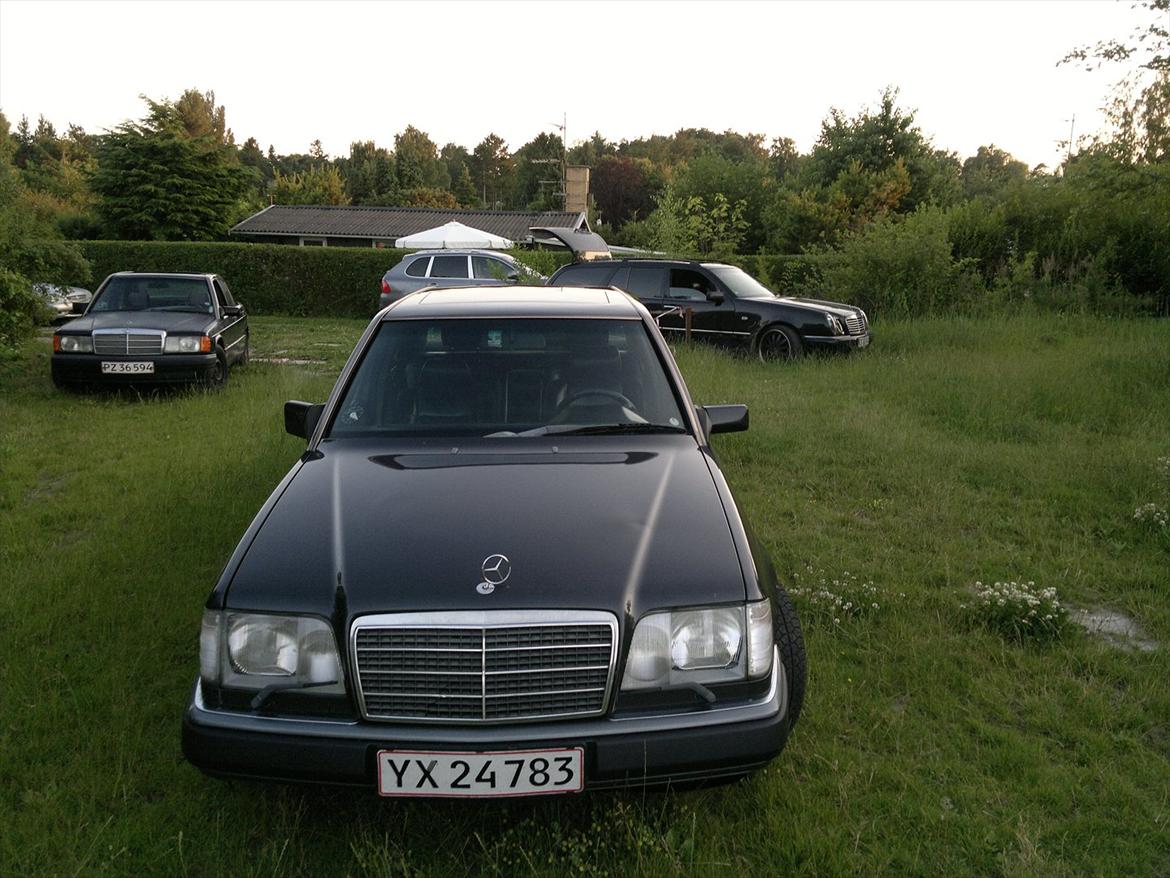 Mercedes Benz 300E-24V Sportline billede 2