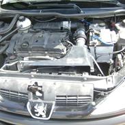 Peugeot 206 s16