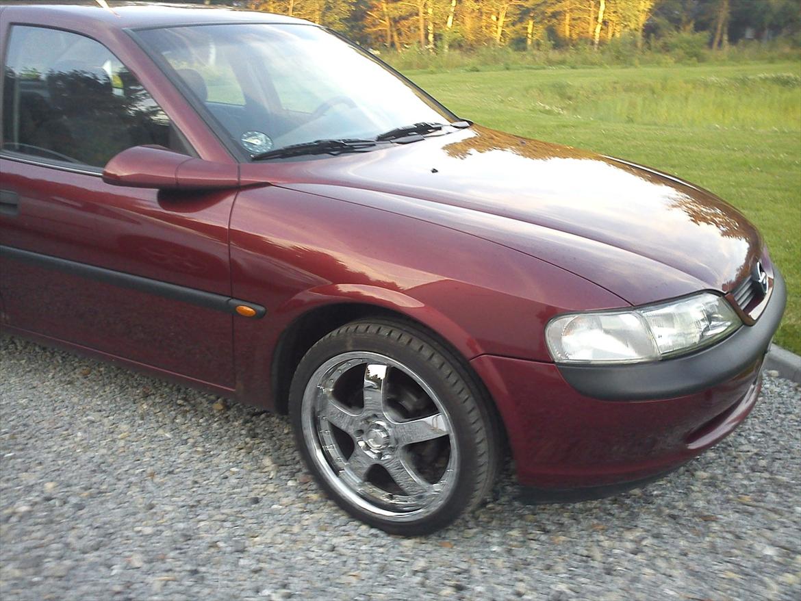 Opel Vectra billede 7