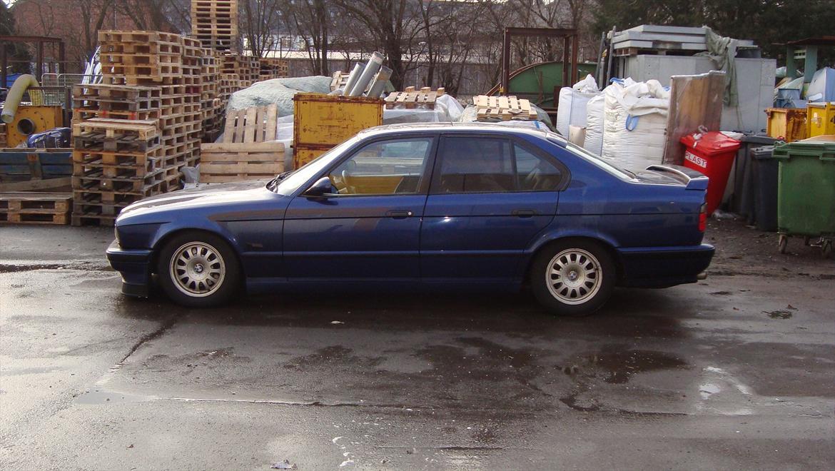 BMW 530  v8 billede 2