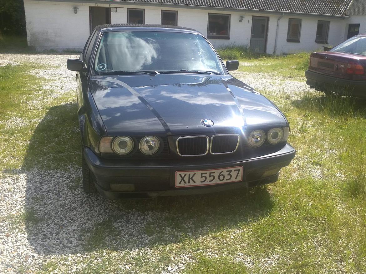 BMW 525i billede 16