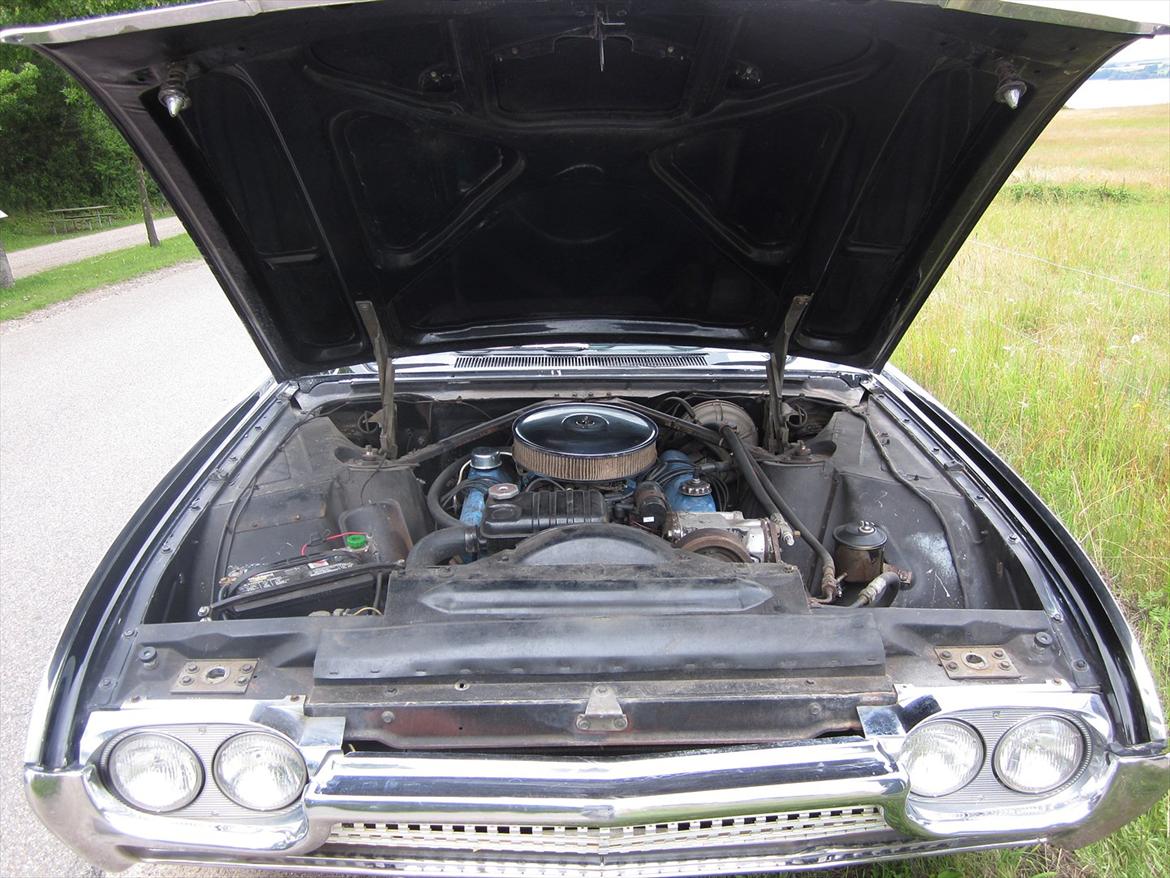 Ford Thunderbird billede 15