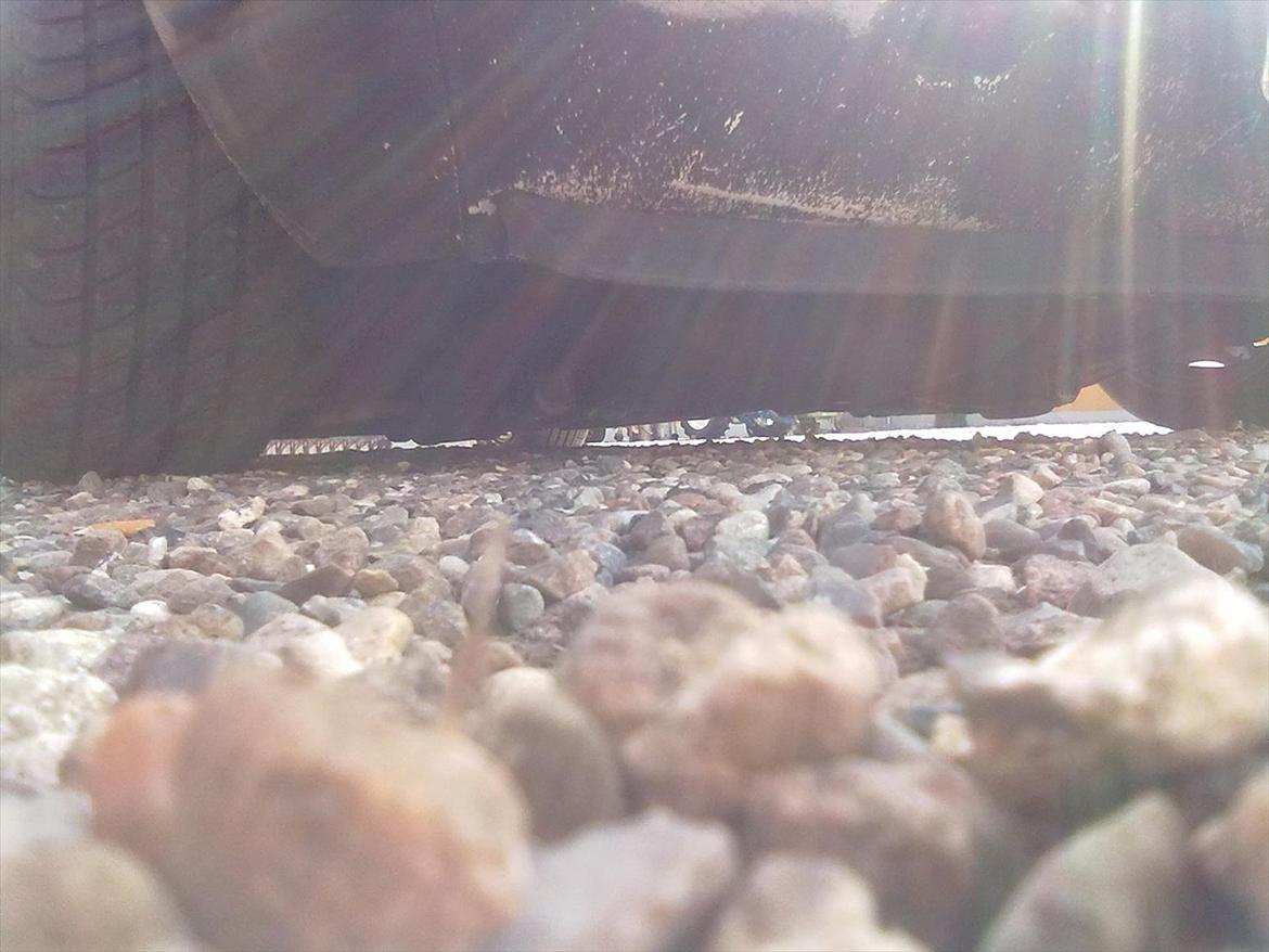 VW Golf 1  (Rat) billede 2