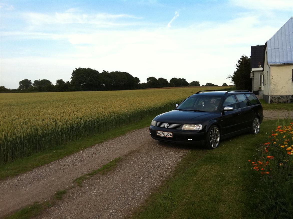 VW Passat 3B 1,8T Variant billede 8