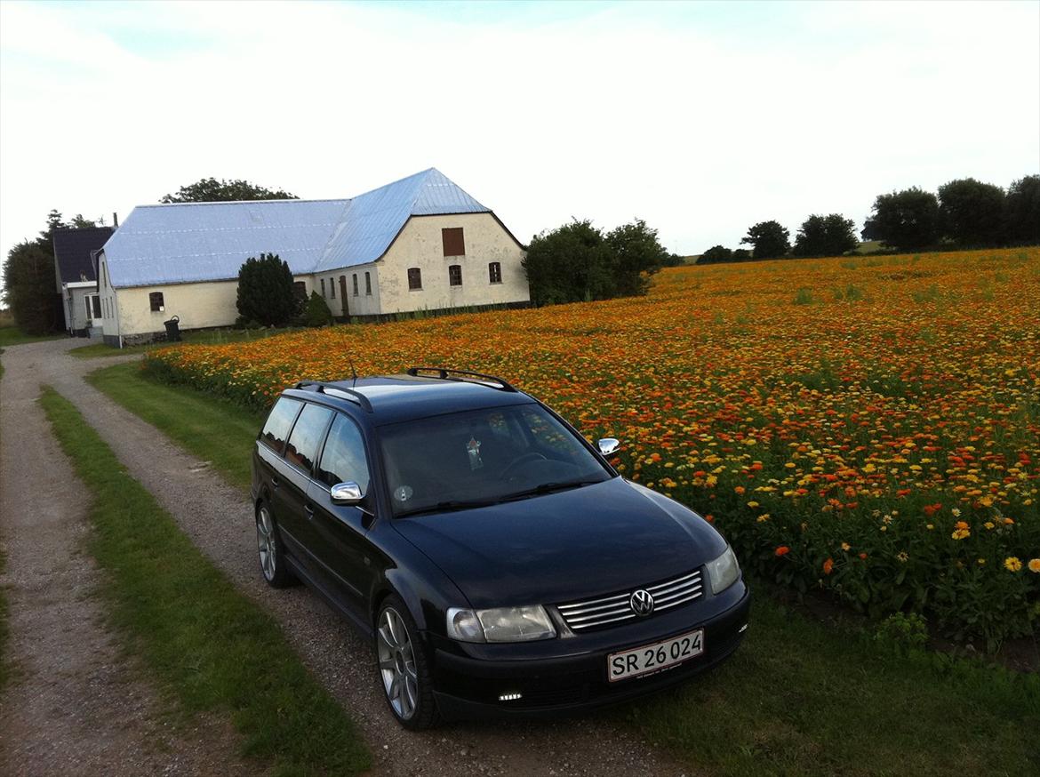 VW Passat 3B 1,8T Variant billede 10