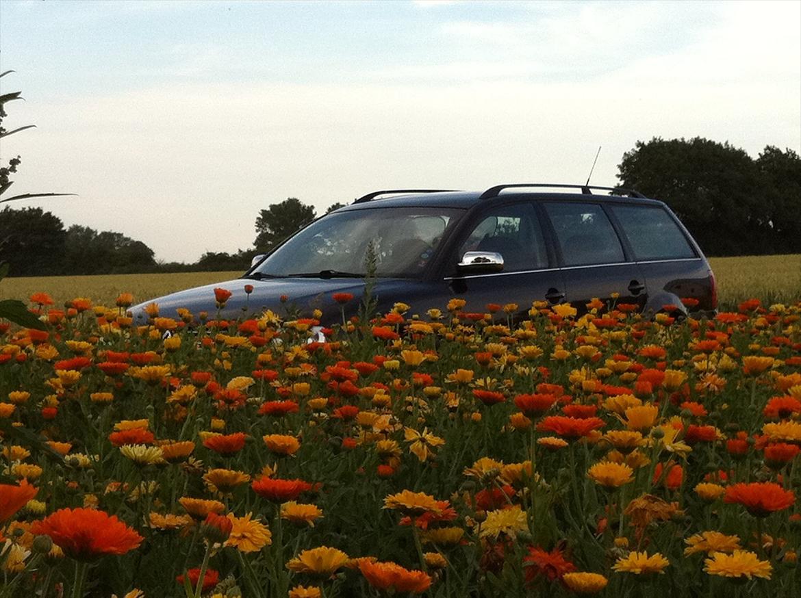 VW Passat 3B 1,8T Variant billede 11