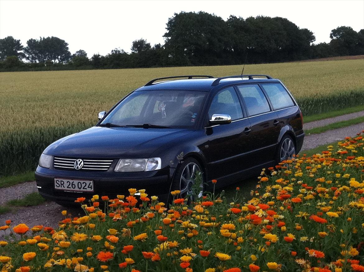 VW Passat 3B 1,8T Variant billede 12