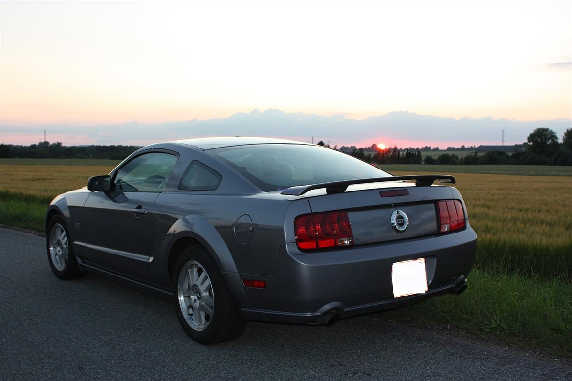 Ford Mustang GT billede 8