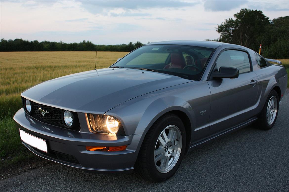 Ford Mustang GT billede 13