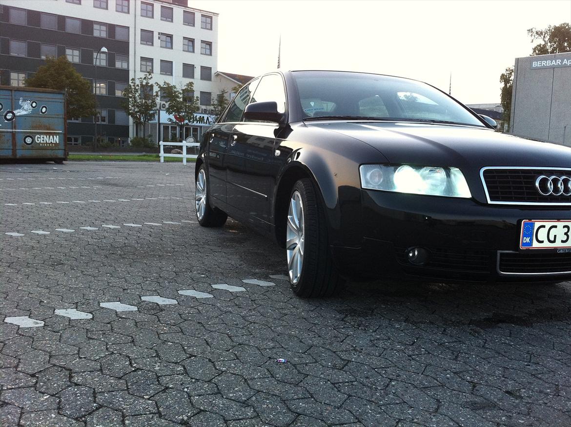 Audi A4 billede 7