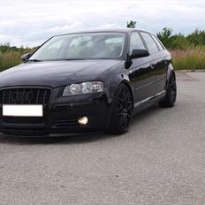 Audi A3 8p *Stance* Low Rider! SOLGT !