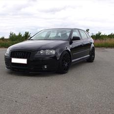 Audi A3 8p *Stance* Low Rider! SOLGT !