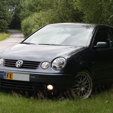 VW Polo 9N