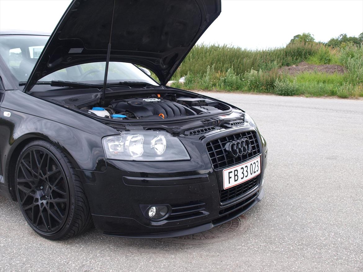 Audi A3 8p *Stance* Low Rider! SOLGT ! billede 10