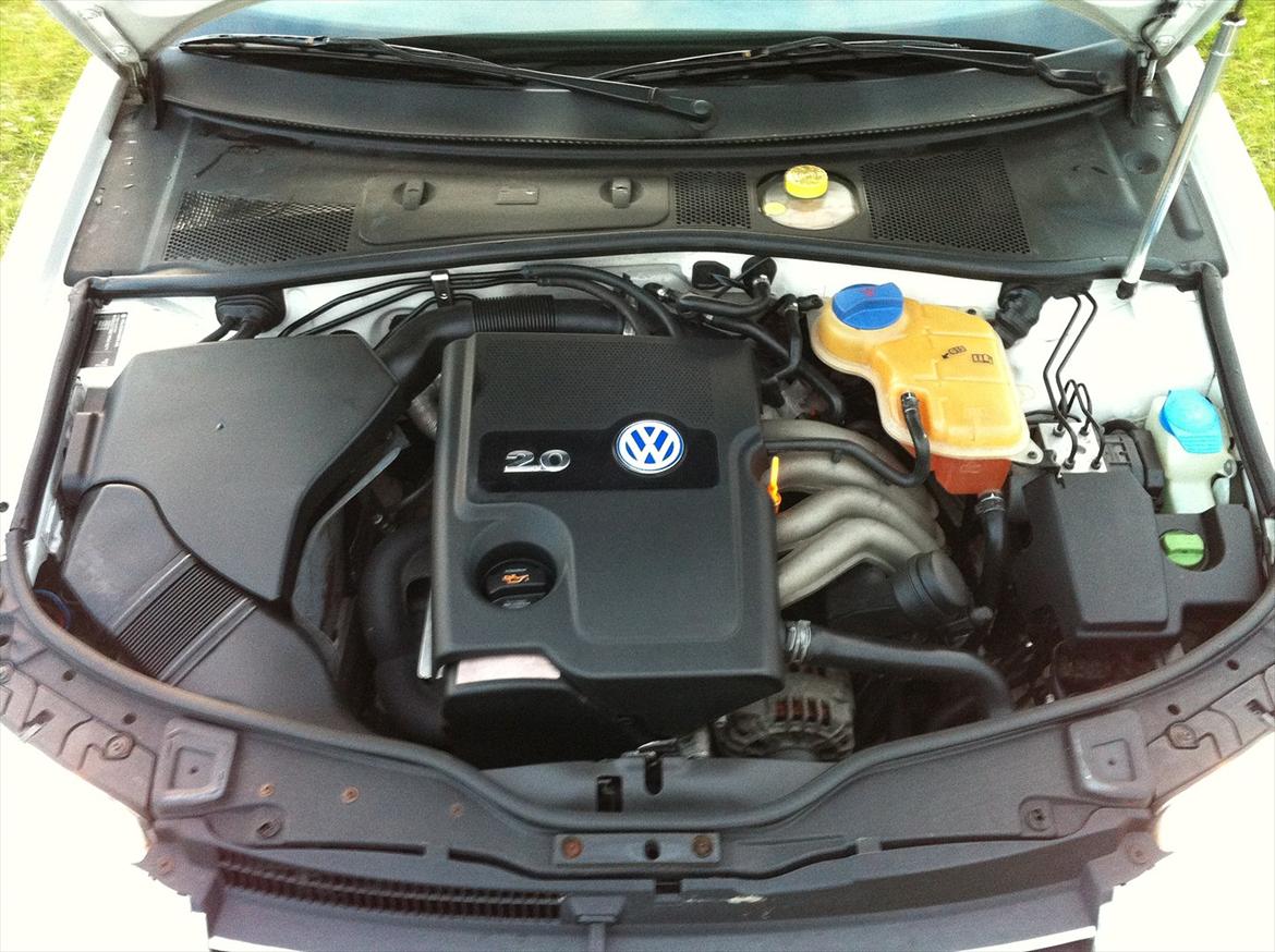 VW Passat 3BG Trendline - En turbo her, ville dælme pynte. billede 22