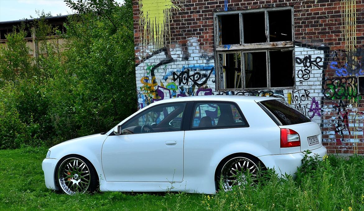 Audi A3 1.8T •Airride• billede 5