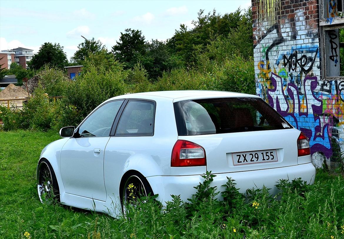 Audi A3 1.8T •Airride• billede 2