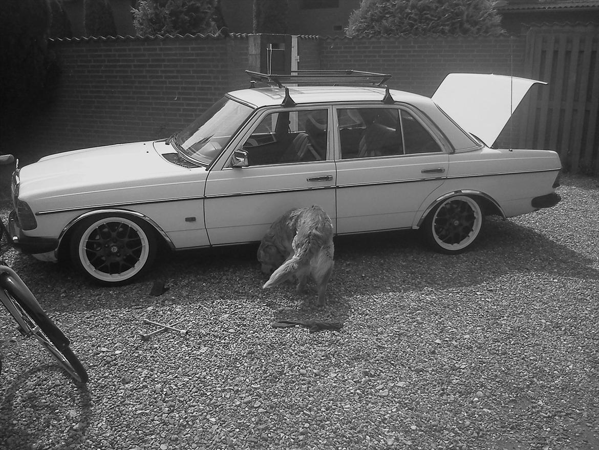 Mercedes Benz 230 w123 solgt billede 5