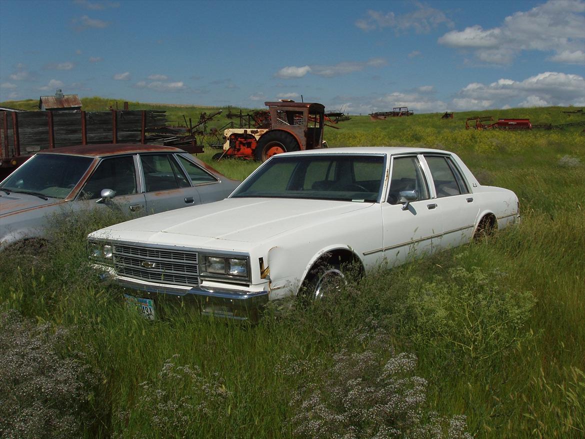 Chevrolet Impala *Solgt* - Det er trist at se, at 3 år efter når man kommer tilbage er impalaen fløjet til bil himlen og resterne står nu på en mark :( billede 12