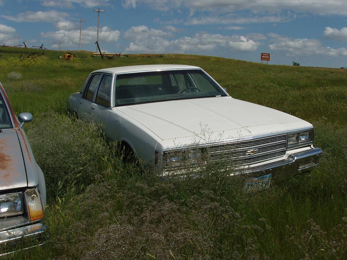 Chevrolet Impala *Solgt* - Det er trist at se, at 3 år efter når man kommer tilbage er Impalaen føjet til bil himlen og resterne står nu tilbage på en mark :( billede 13