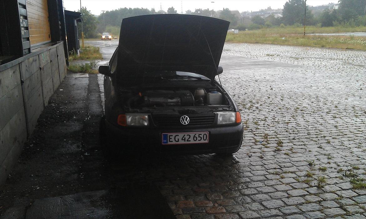 VW polo 6k Classic solgt billede 1