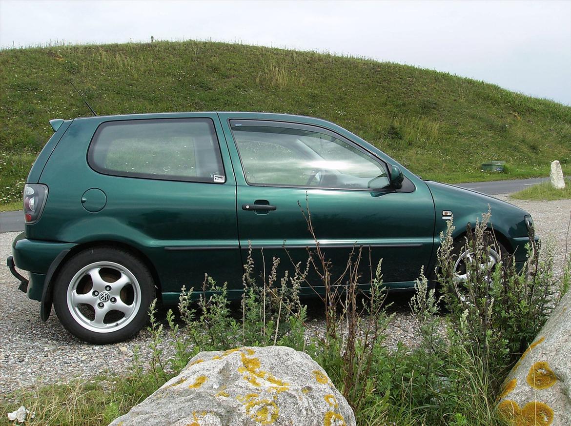 VW Polo 6N 1.6L 8V billede 3