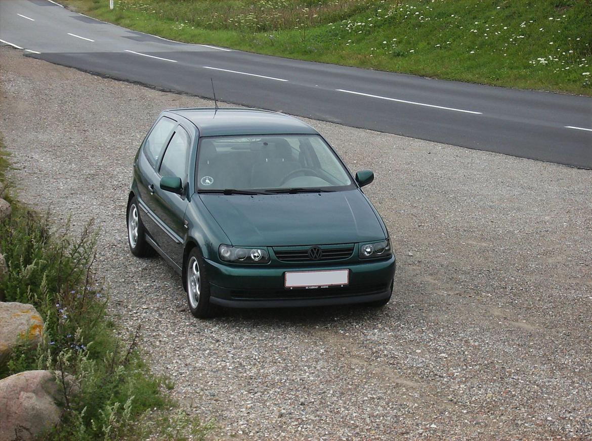 VW Polo 6N 1.6L 8V billede 5