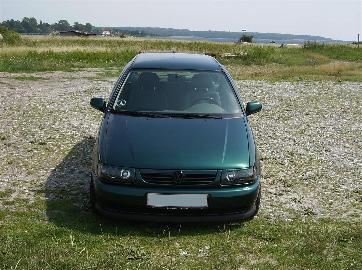 VW Polo 6N 1.6L 8V billede 9