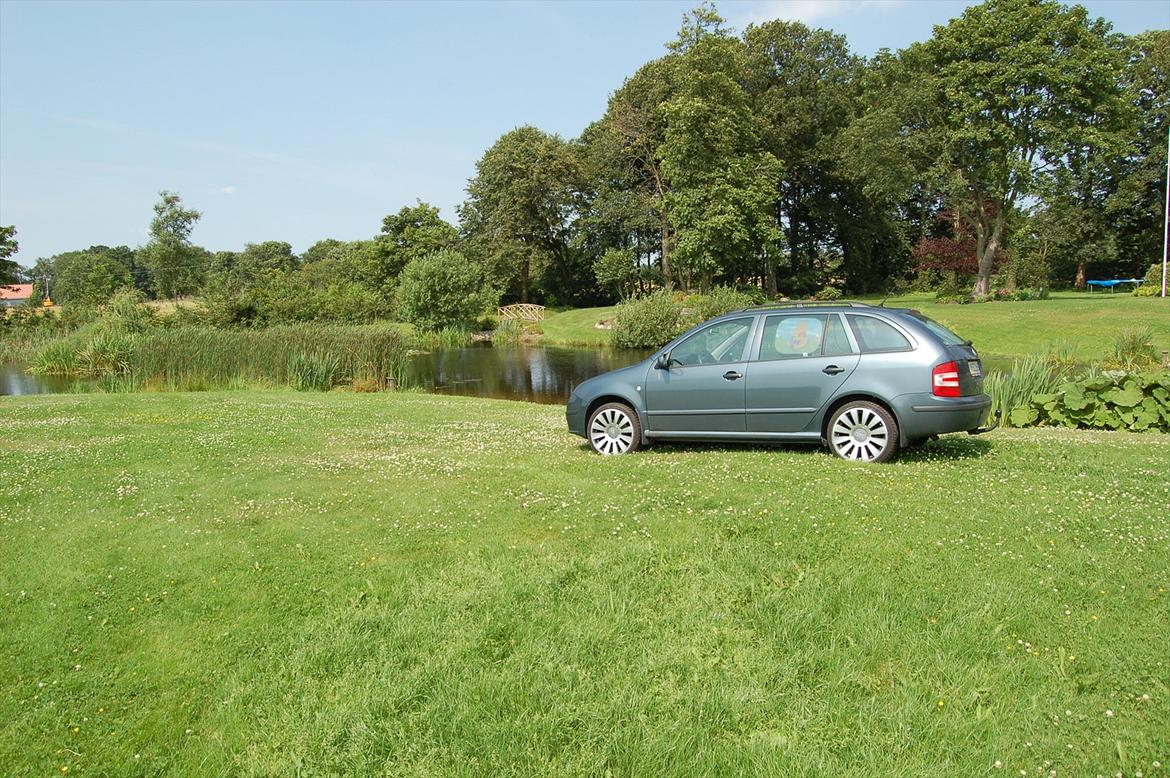 Skoda Fabia 1,9 TDI Combi billede 11