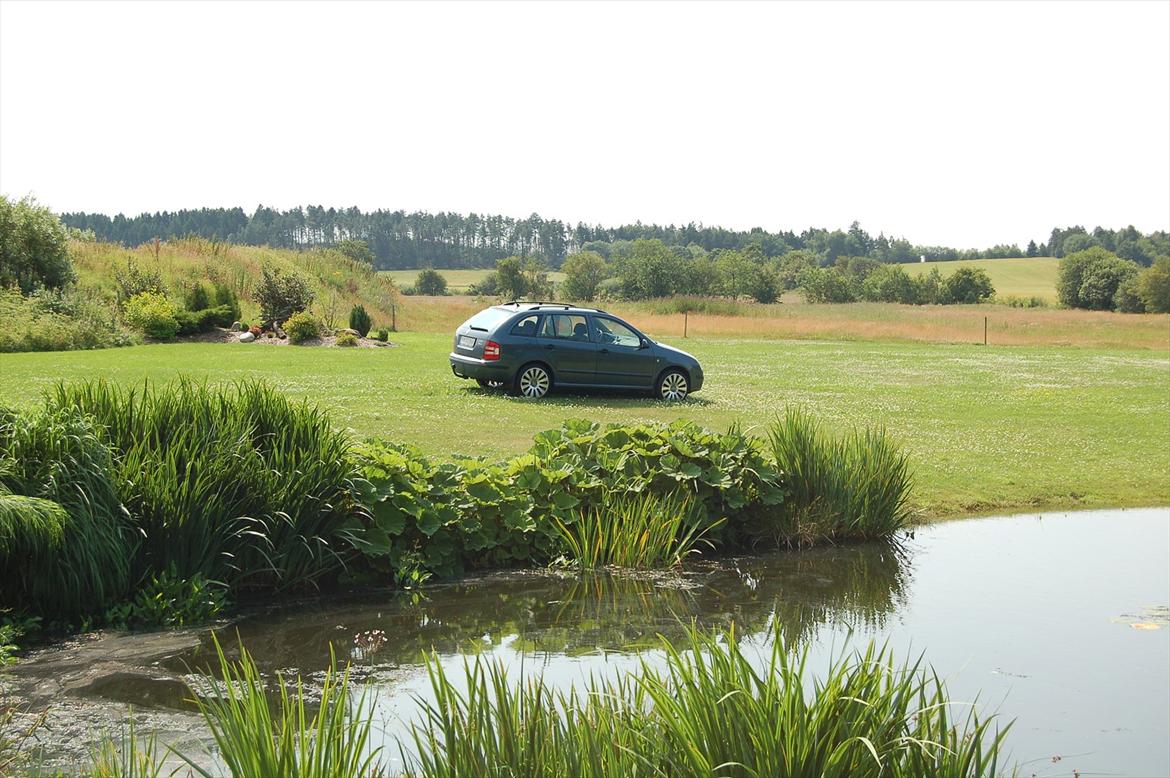 Skoda Fabia 1,9 TDI Combi billede 13