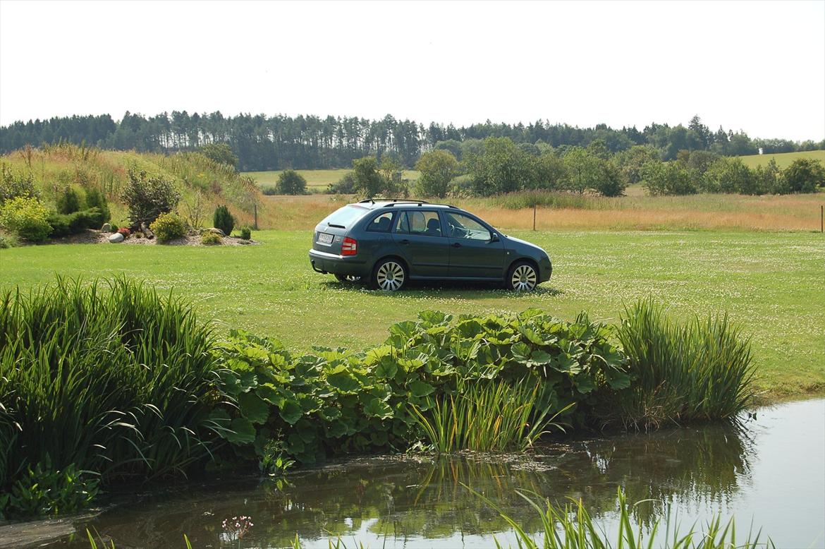 Skoda Fabia 1,9 TDI Combi billede 14