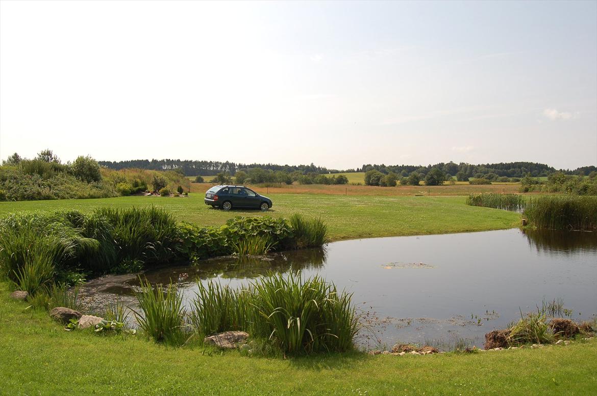 Skoda Fabia 1,9 TDI Combi billede 15