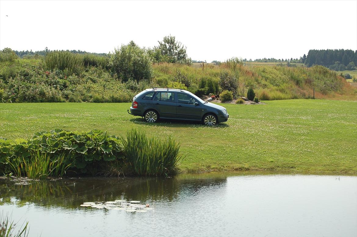 Skoda Fabia 1,9 TDI Combi billede 16