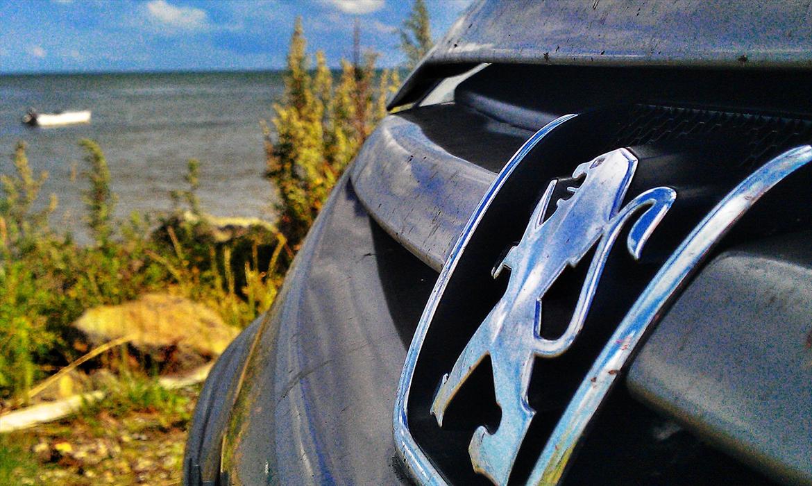 Peugeot 307 Sw HDI billede 1