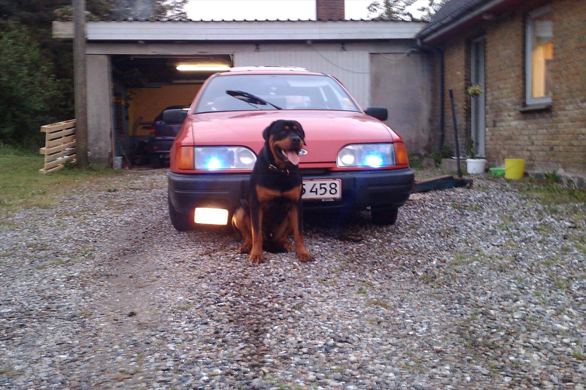 Ford Sierra 1.6 billede 7