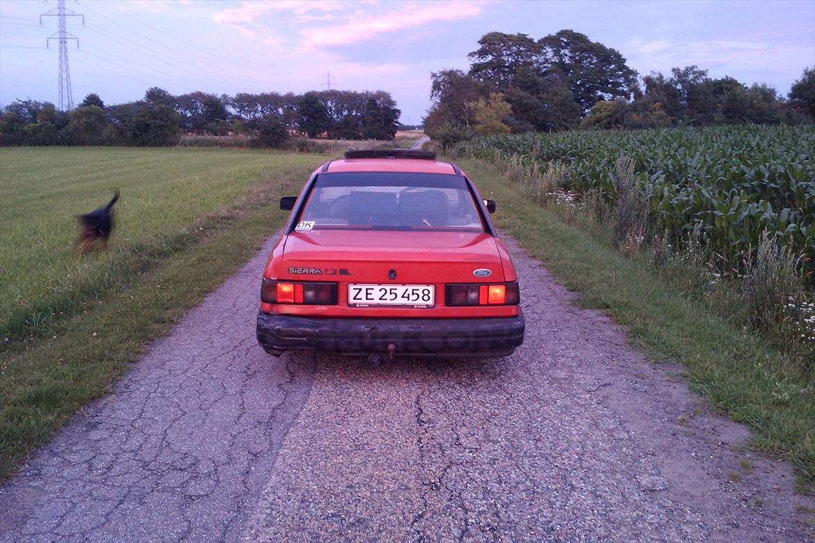 Ford Sierra 1.6 billede 13