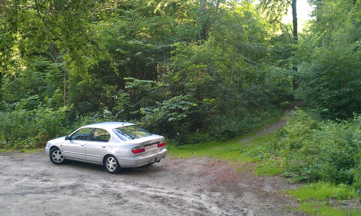 Nissan Primera p11 Mk II 2,0 SE Sedan billede 8