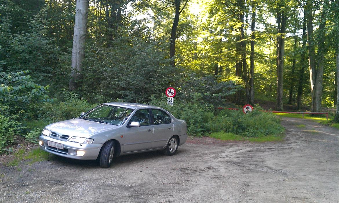 Nissan Primera p11 Mk II 2,0 SE Sedan billede 9