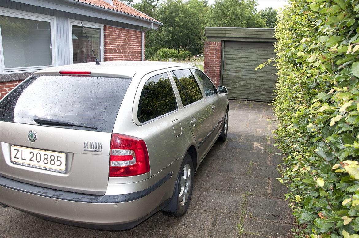 Skoda Octavia Combi Elegance 1.9TDI billede 12