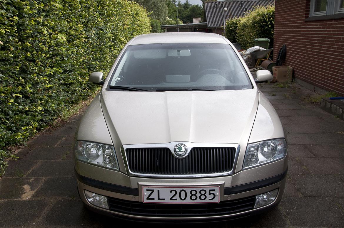 Skoda Octavia Combi Elegance 1.9TDI billede 1