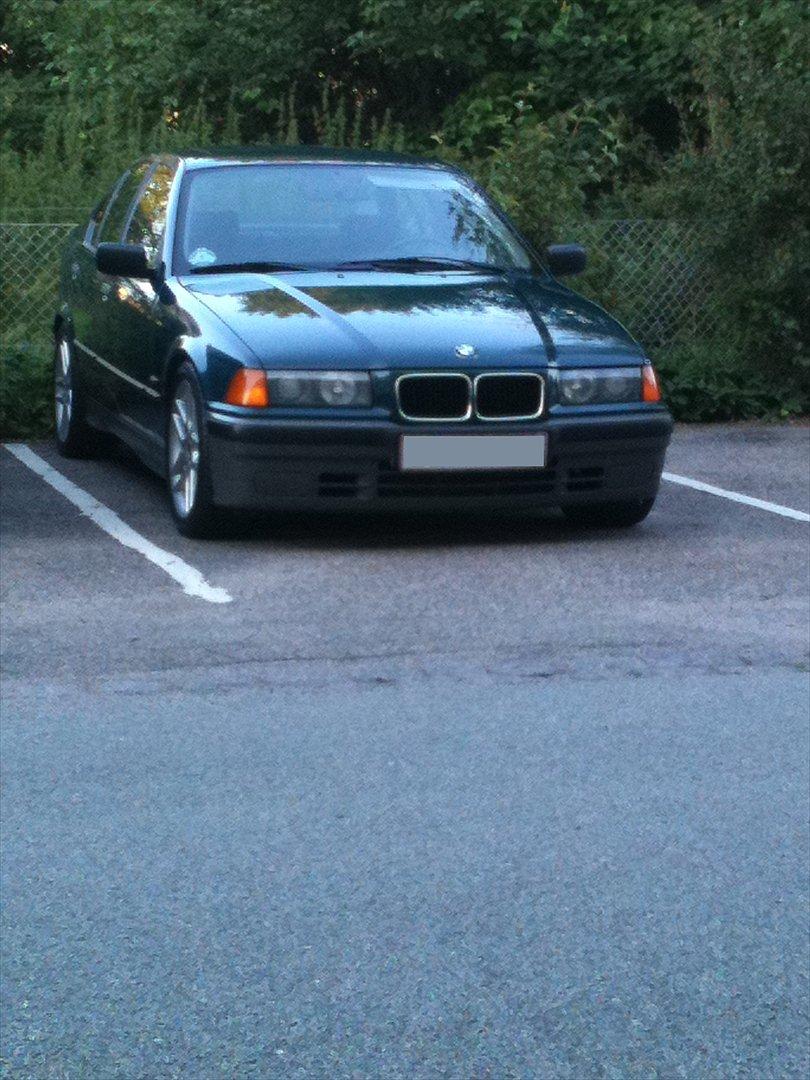 BMW E36 316i - Nyeste - med 17'' alu, 60/20 fjedre. billede 1