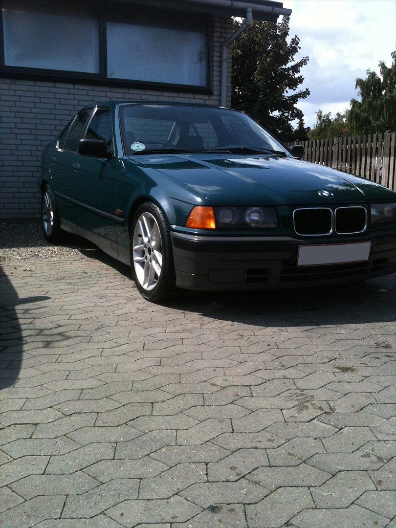 BMW E36 316i - Nyeste - med 17'' alu, 60/20 fjedre. billede 2