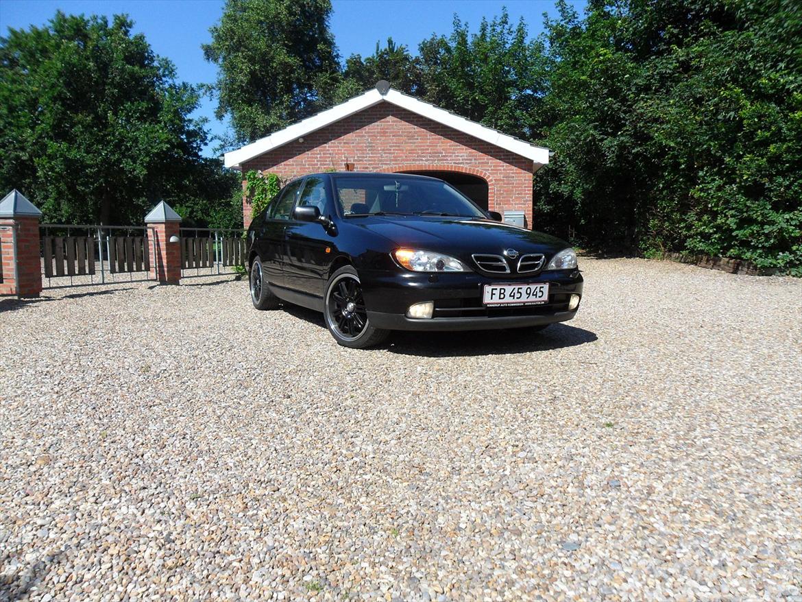 Nissan primera p11-144 ( SOLGT ) billede 1