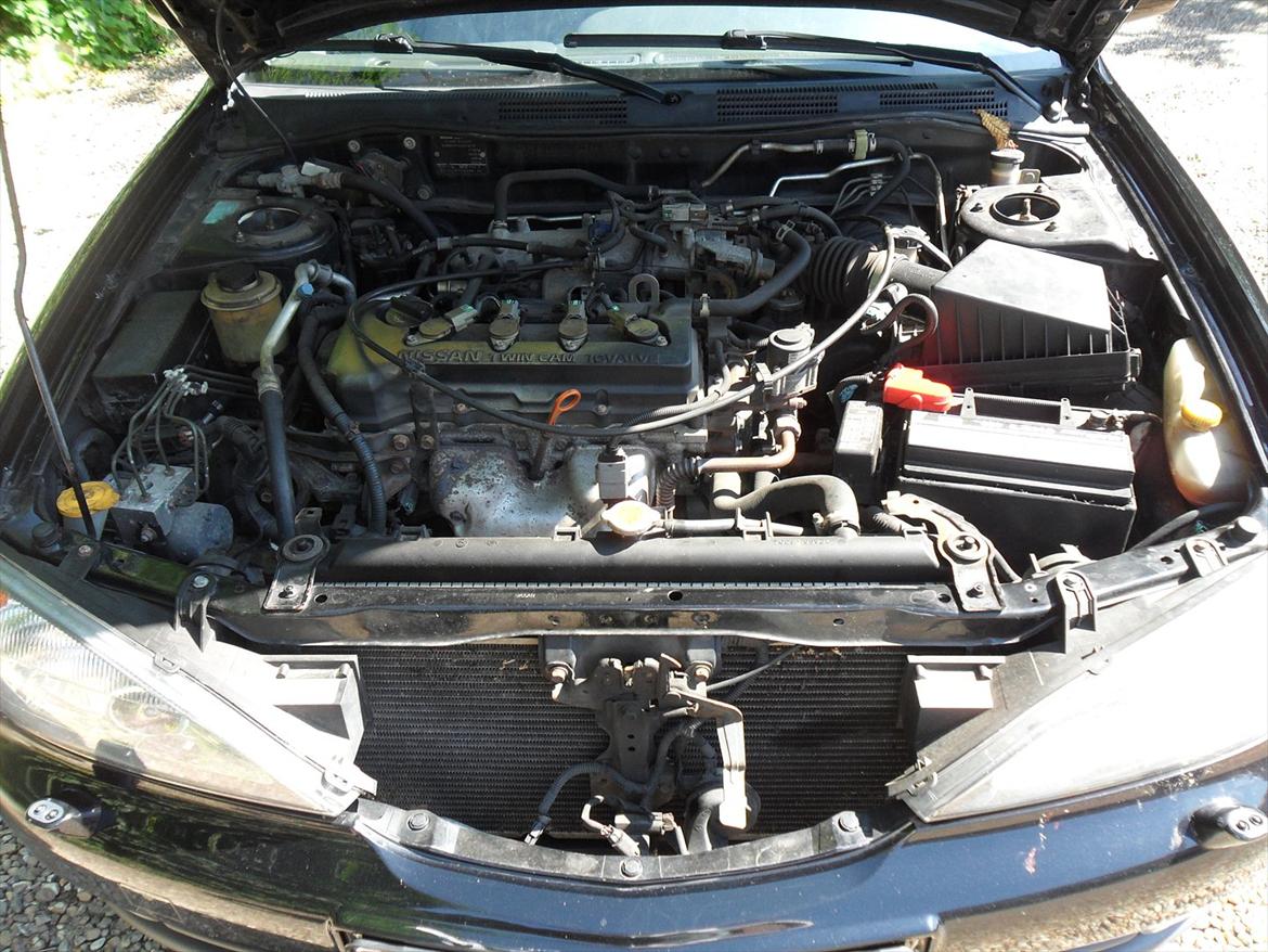 Nissan primera p11-144 ( SOLGT ) billede 5