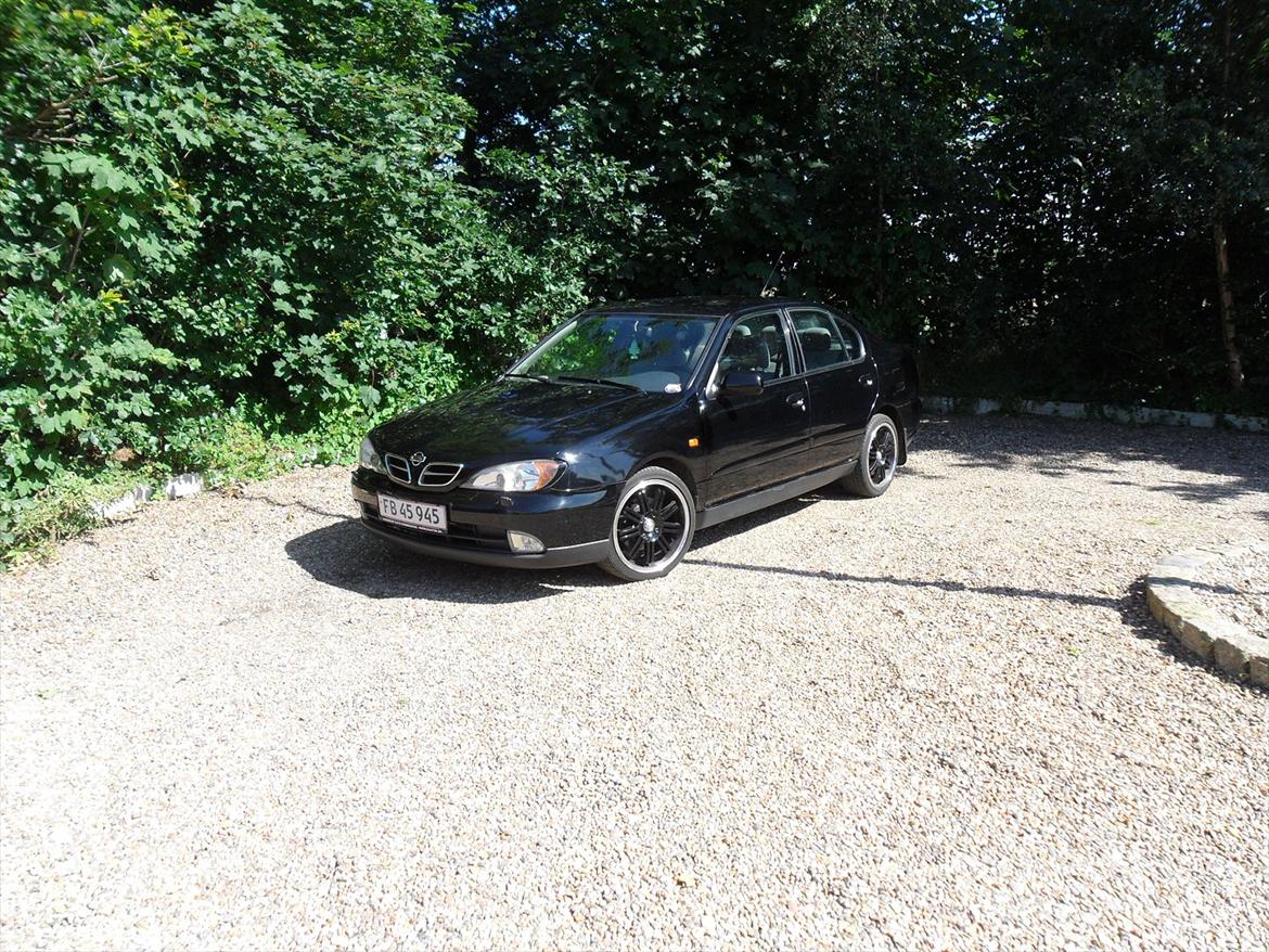 Nissan primera p11-144 ( SOLGT ) billede 6