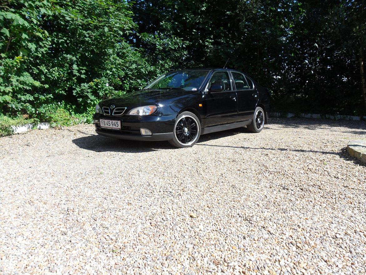 Nissan primera p11-144 ( SOLGT ) billede 7