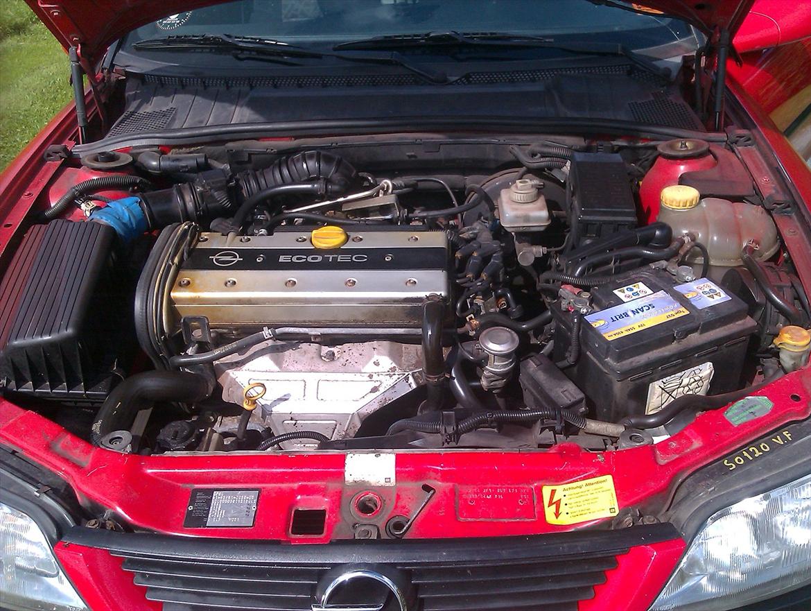 Opel vectra b 4 dørs billede 12